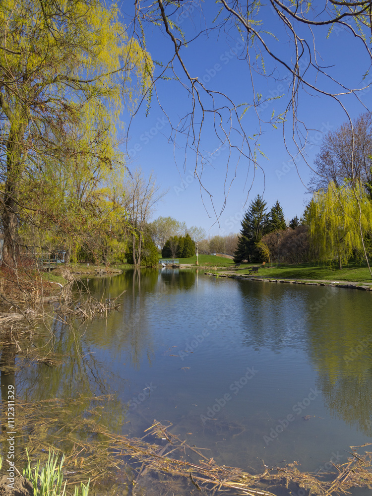 Spring landscape Spring landscape