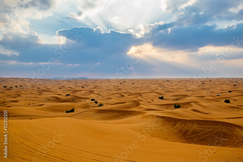 Desert in Dubai  United Arab Emirates