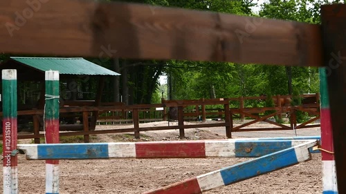 Wallpaper Mural sportsman on horse overcomes barrier  Torontodigital.ca