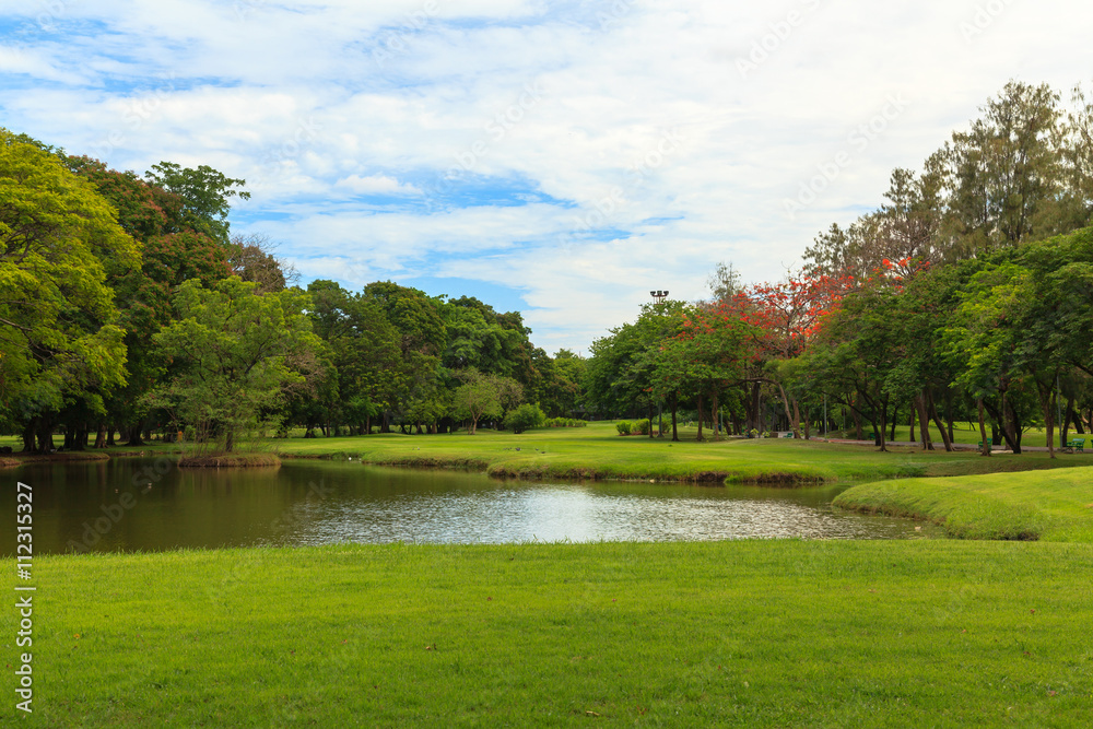 Green trees