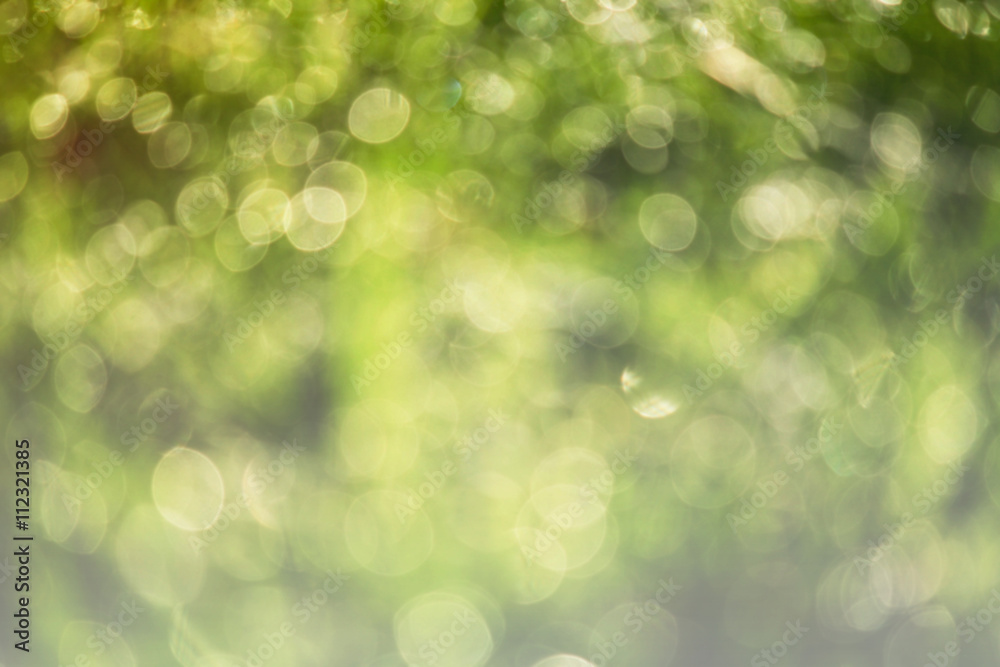 Obraz premium blur green for vintage background