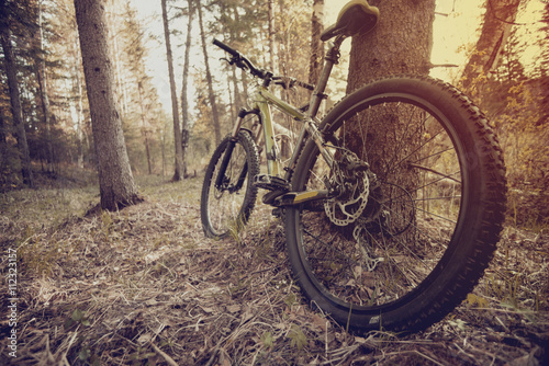 mountain bike on the trail in the beautiful summer forest. © Artem