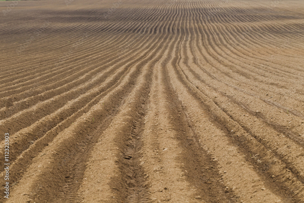 Plowed farm field