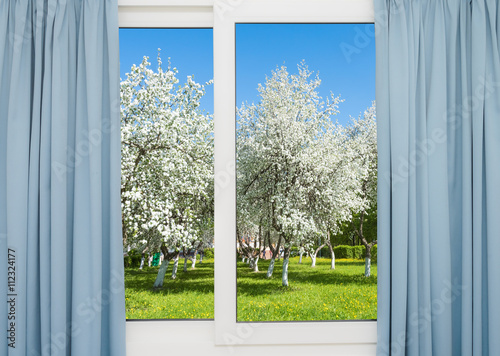view window flowering tree