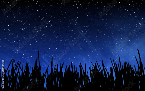 Deep night sky with many stars and grass
