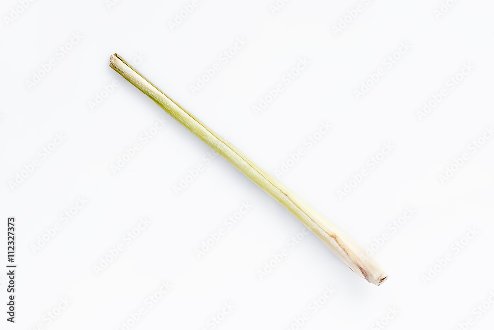 Lemon grass, single stem on white background Lemon grass, single stem on white background