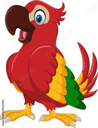 cute parrot cartoon posing