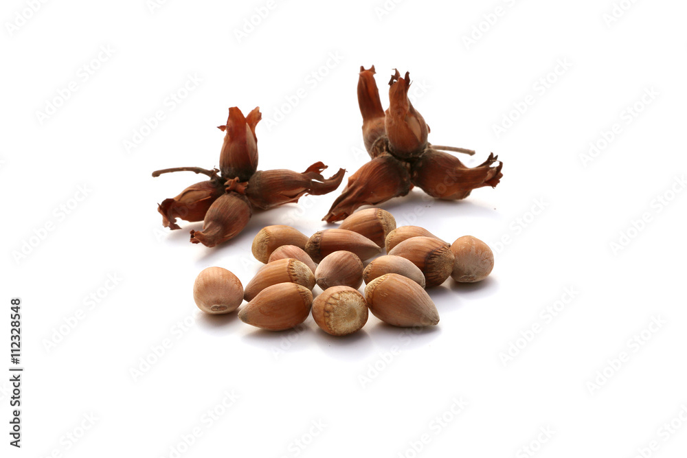 Noisettes StockFoto Adobe Stock