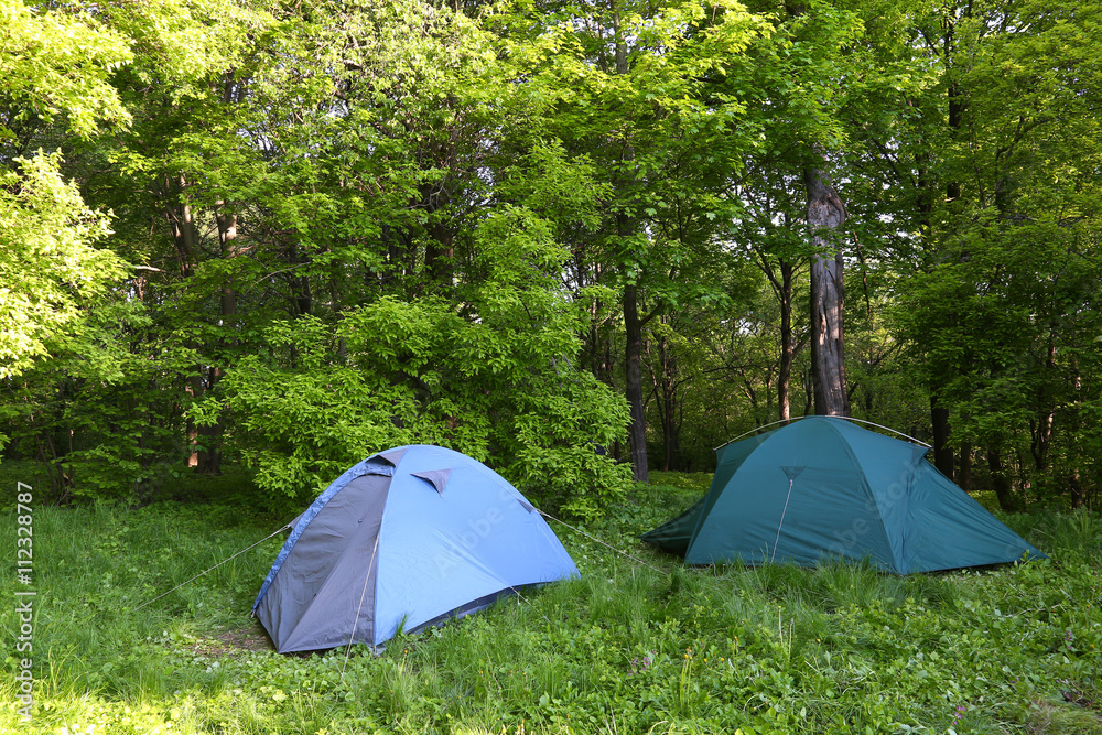 two blue tents in green forest two blue tents in green forest