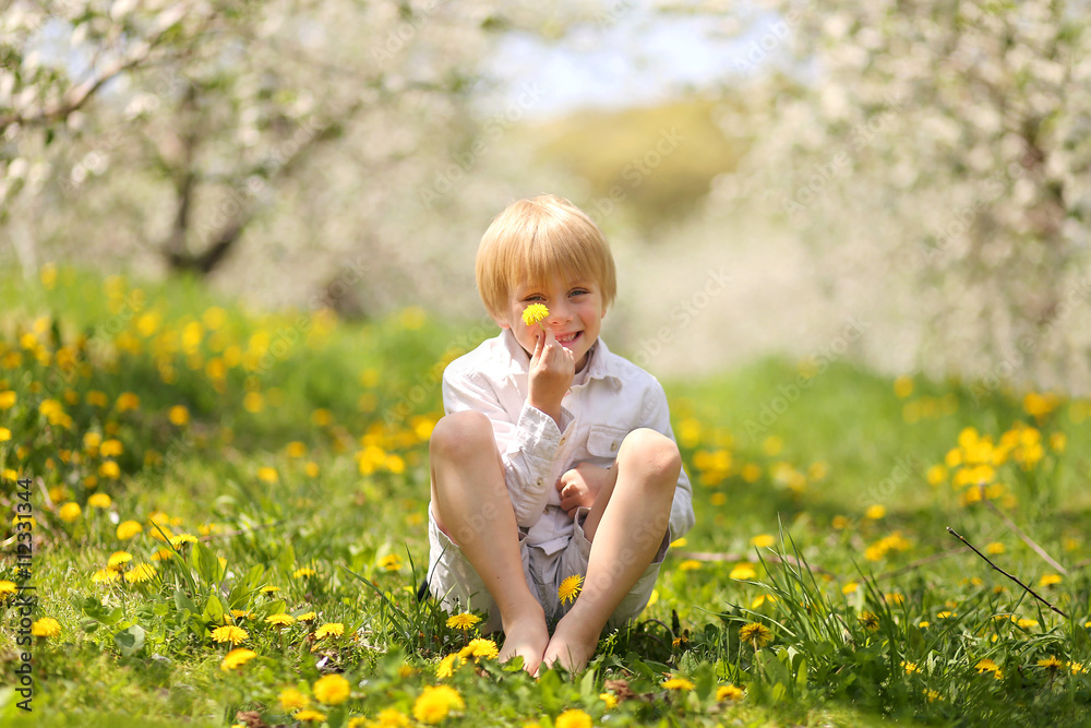 Sweet Little Boy Holding Flower in Orchard Sweet Little Boy Holding Flower in Orchard