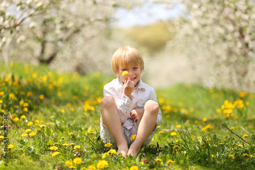 Sweet Little Boy Holding Flower in Orchard