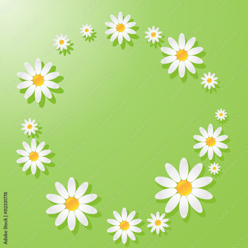 Green background with chamomiles Green background with chamomiles