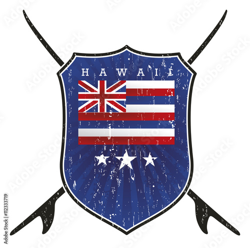 hawaii surf shield with flag