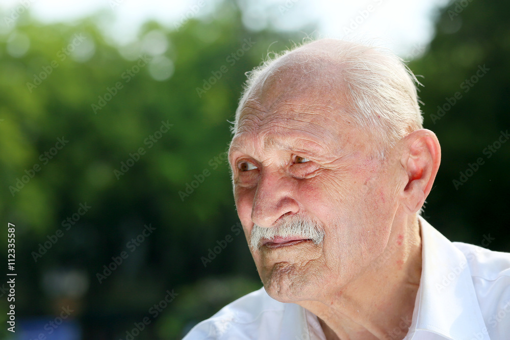 old man portrait in a park old man portrait in a park