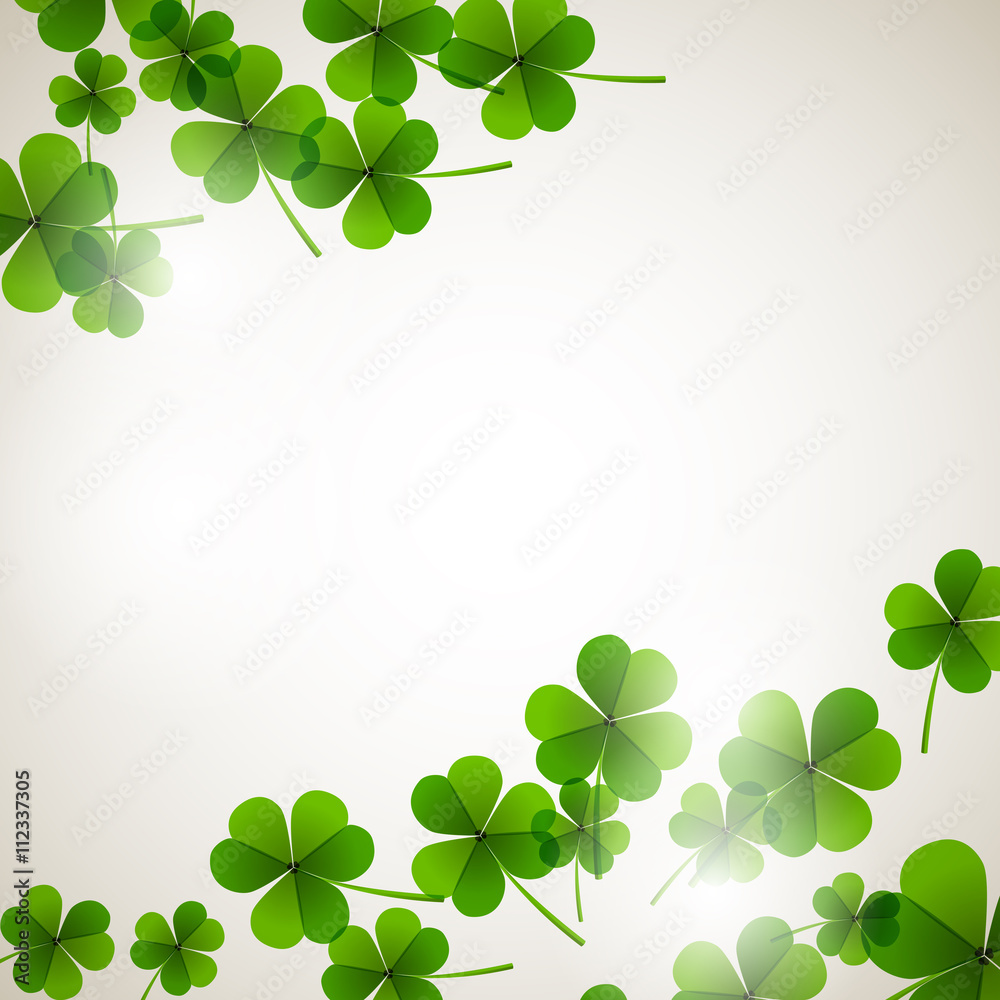 Fresh leafs clover on a tender blurred background Fresh leafs clover on a tender blurred background