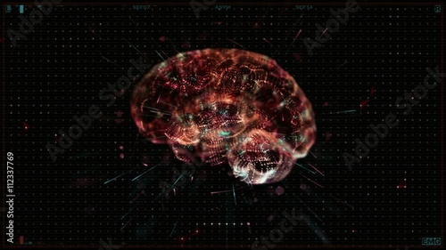 Brain Monitoring