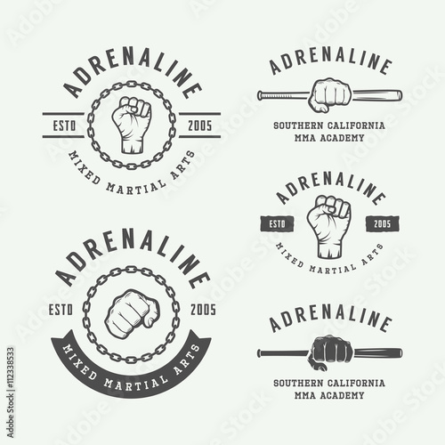 Set of vintage mixed martial arts or fighting club logos, emblem