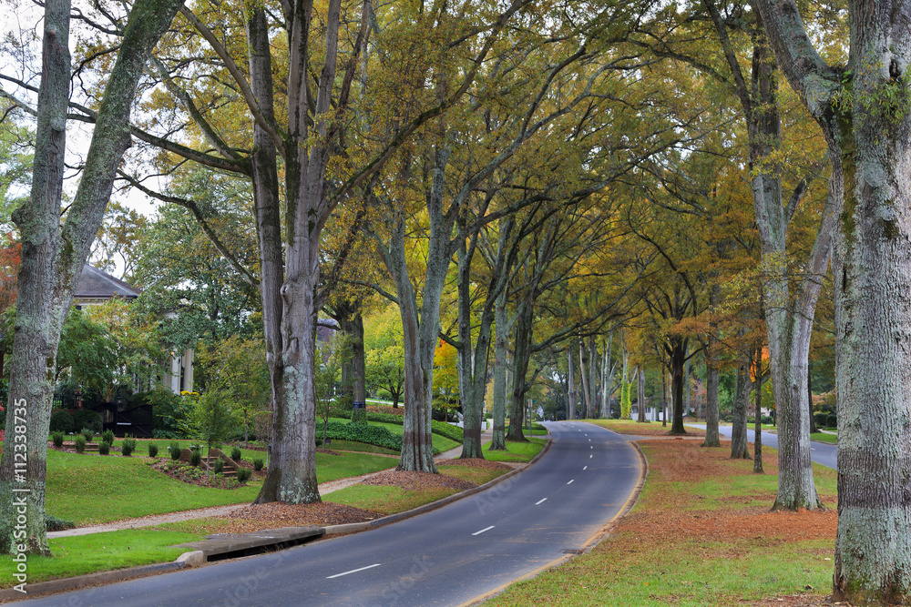 Queens Road West in Charlotte, North Carolina in Autumn