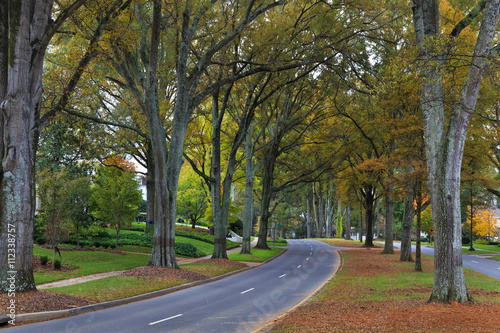 Queens Road West in Charlotte in the Fall Season