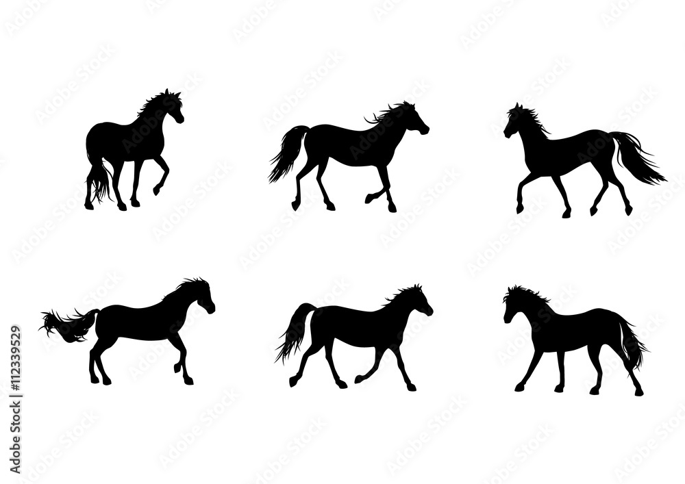 Obraz Sześć sylwetek koni
