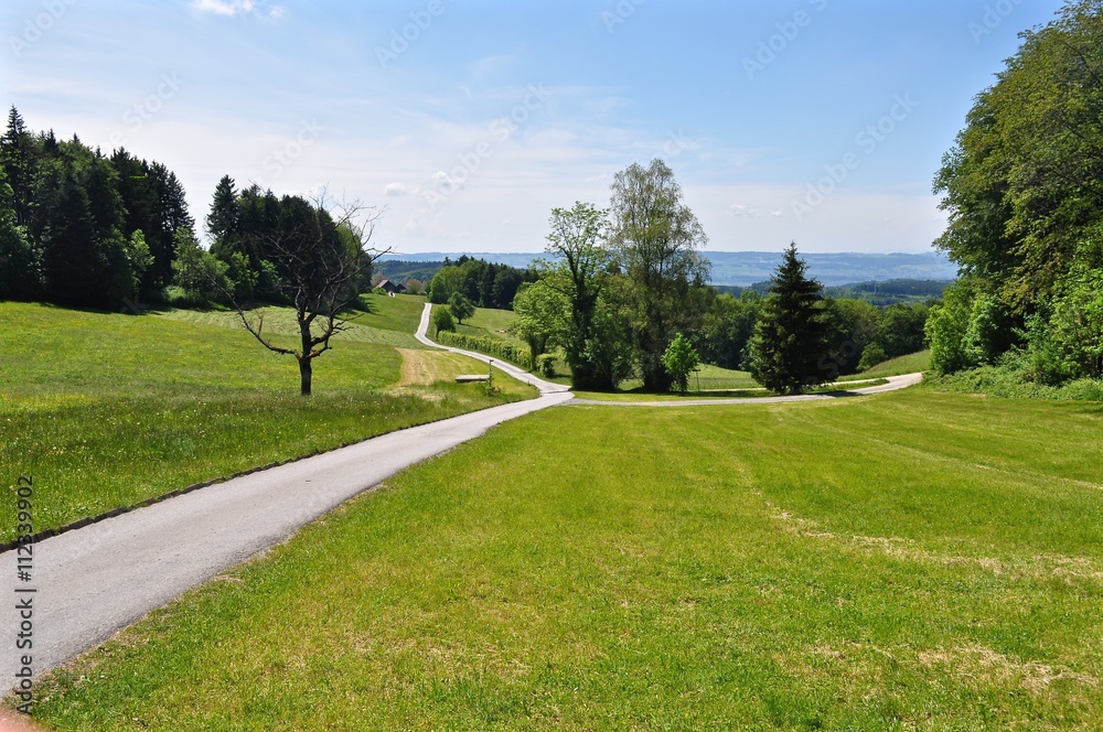 Feldweg auf der Felsenegg - Adliswil mit Blick ins Aargau, Schweiz