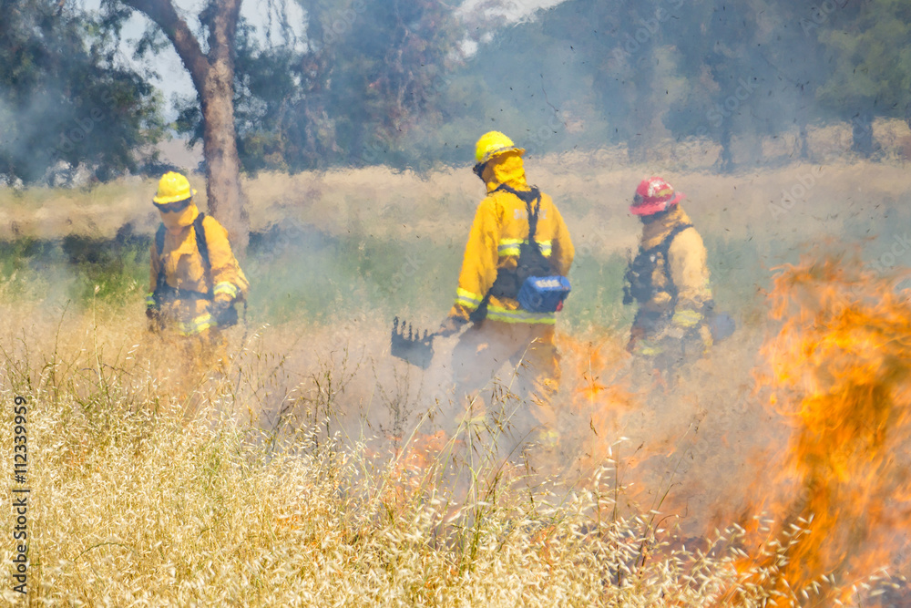 Fototapeta premium Firefighter Fighting Wildland Forest Grass Fire