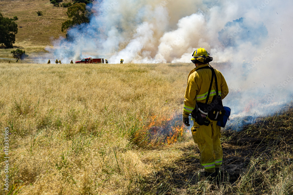 Naklejka premium Firefighter Fighting Wildland Forest Grass Fire