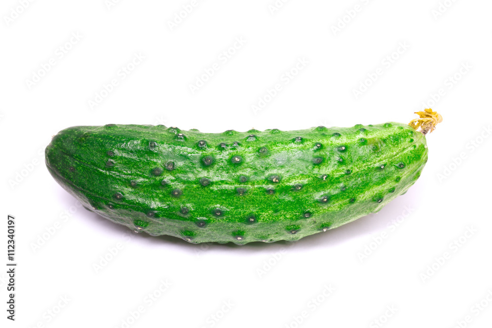 Fresh cucumber isolated on a white background Fresh cucumber isolated on a white background
