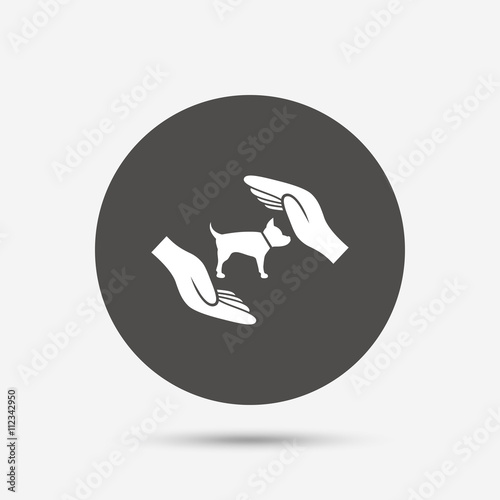 Protection of animals pets sign icon. Hands.