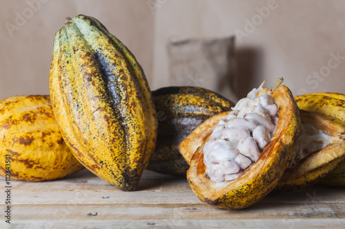 Cacao ecuatoriano
