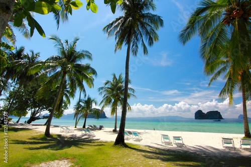Fototapeta Naklejka Na Ścianę i Meble -   the paradise island in trang thailand