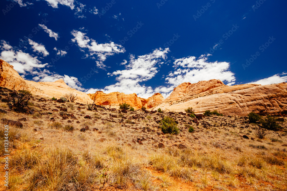 Fototapeta premium The Hickman Bridge Trail, Capital Reef National Park, Utah, USA