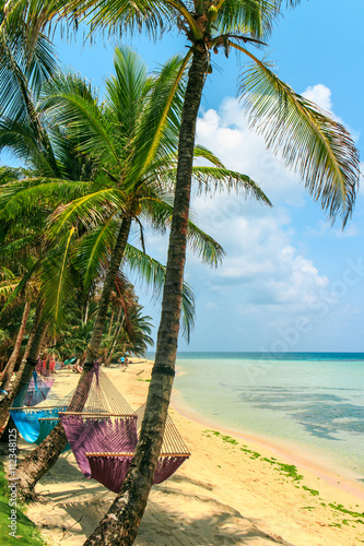 фотографія tropical beach with hammock on palm, relax concept from Nicaragua