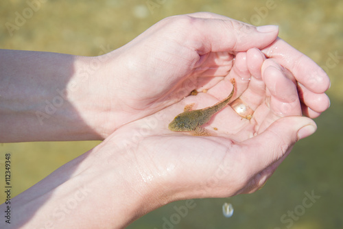 Baikal endemic fish - slimy sculpin in the hands of the girls.