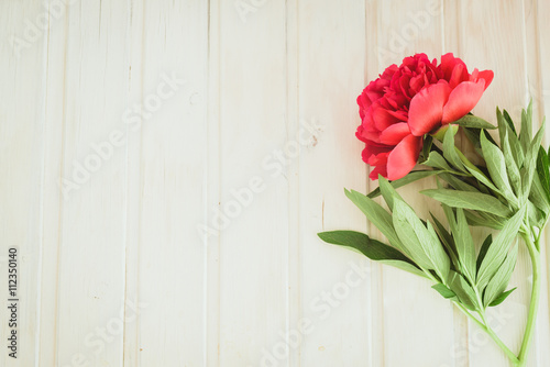 spring-summer concept, top view red peony on white wooden background with copyspace