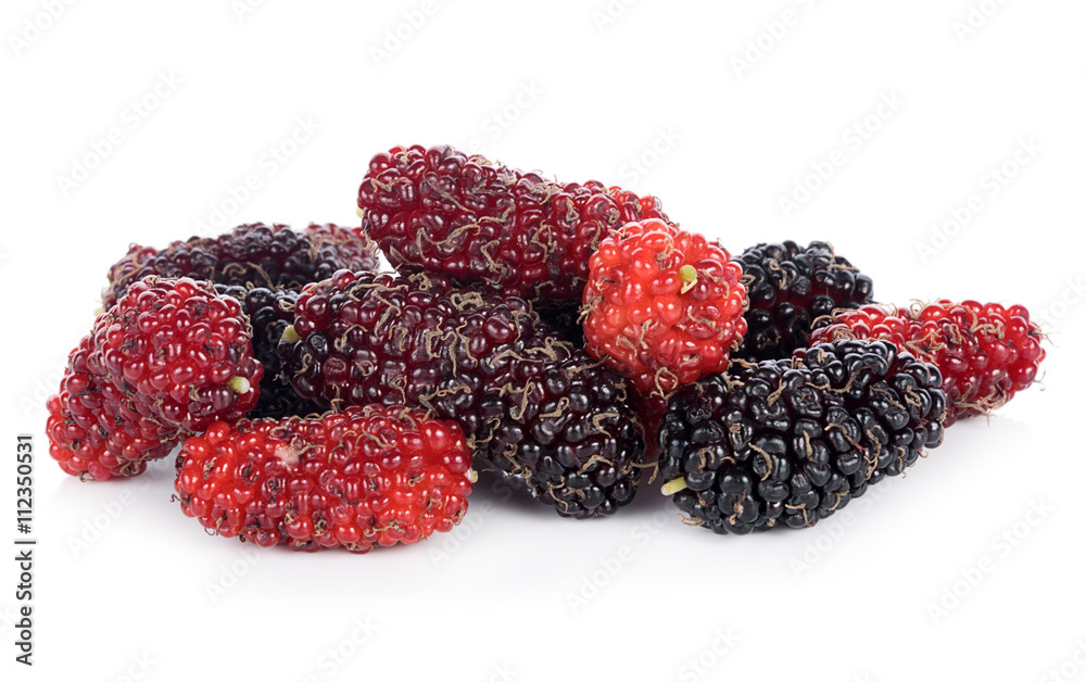 Mulberry fruit on the white background Mulberry fruit on the white background