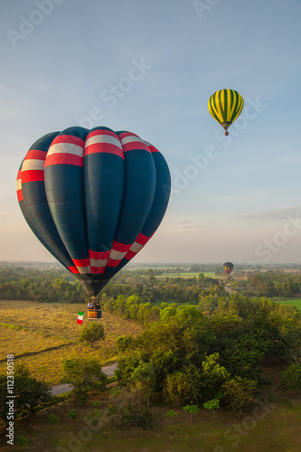 Colorful hot air balloons over green field