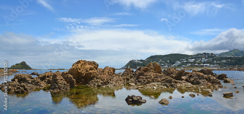 Panorama of Island Bay, Wellington  New Zealand photo