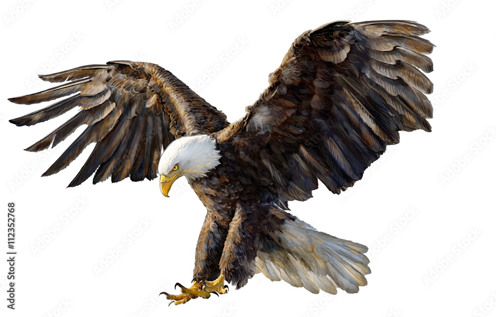 Eagle landing hand drawing on white background vector illustration. - obrazy, fototapety, plakaty 