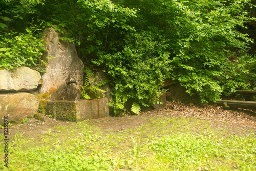 Fototapeta Naklejka Na Ścianę i Meble -  Rest place in the wood, near Heidelberg Germany