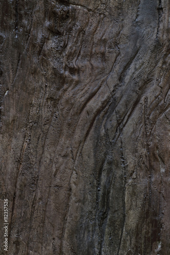 Texture - a bark of an old tree