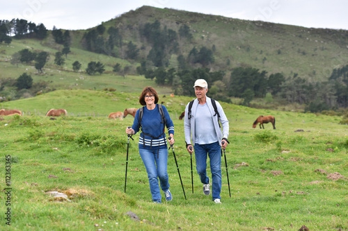 Senior couple walking in mountains in summer