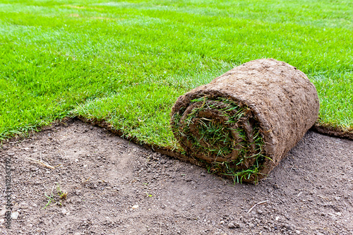 new lawn