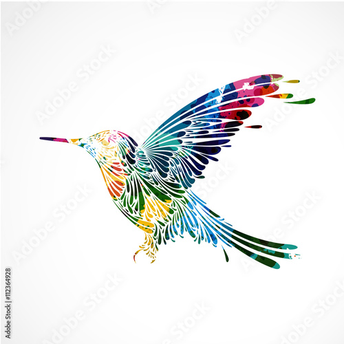Naklejka kolorowy ptak, koliber