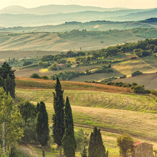 Fields in Tuscany photo