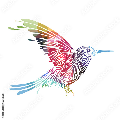 oiseau,forme graphique coloré