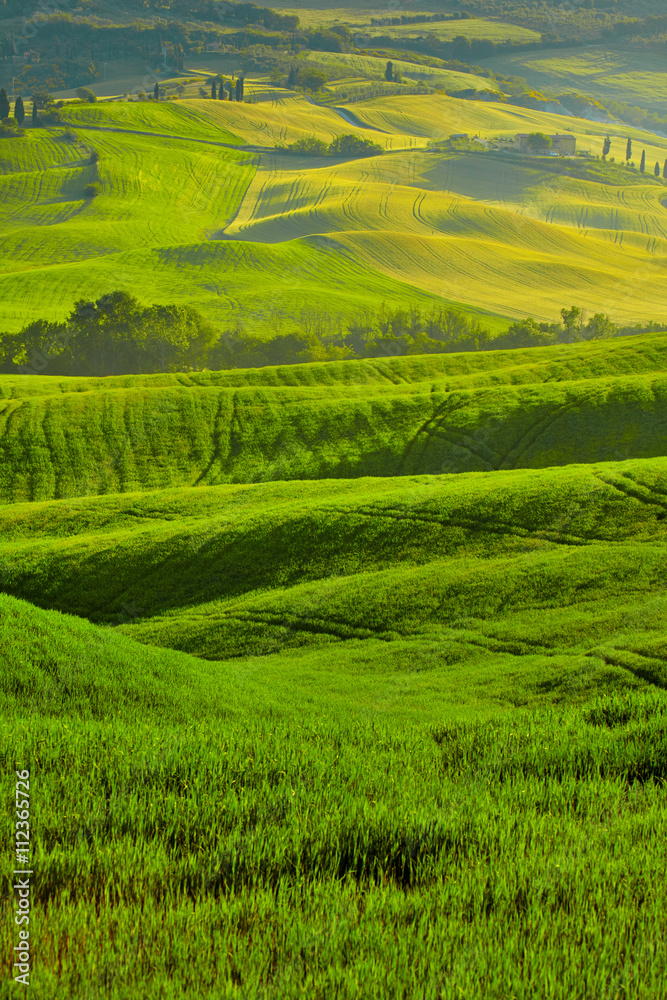 Beautiful view of green fields in Tuscany