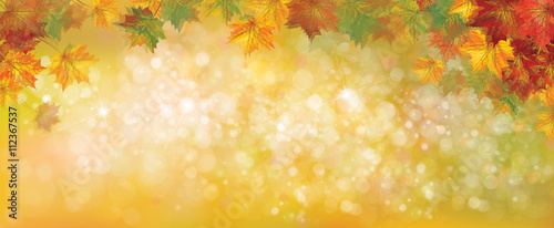 Vector autumnal leaves on bokeh background, blurred effect.