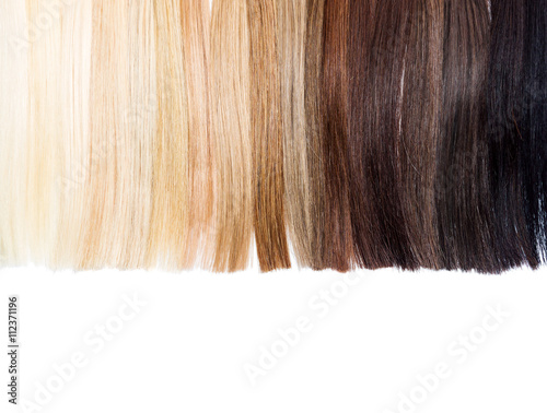 Canvas-taulu Partly isolated palette samples of dyed hair from blond to black