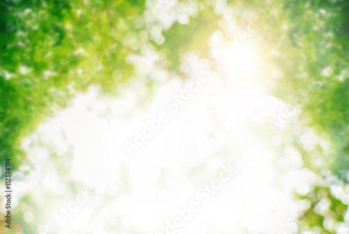 Abstract nature, nature background, nature at the park, nature blurred background, sunshine with nature.